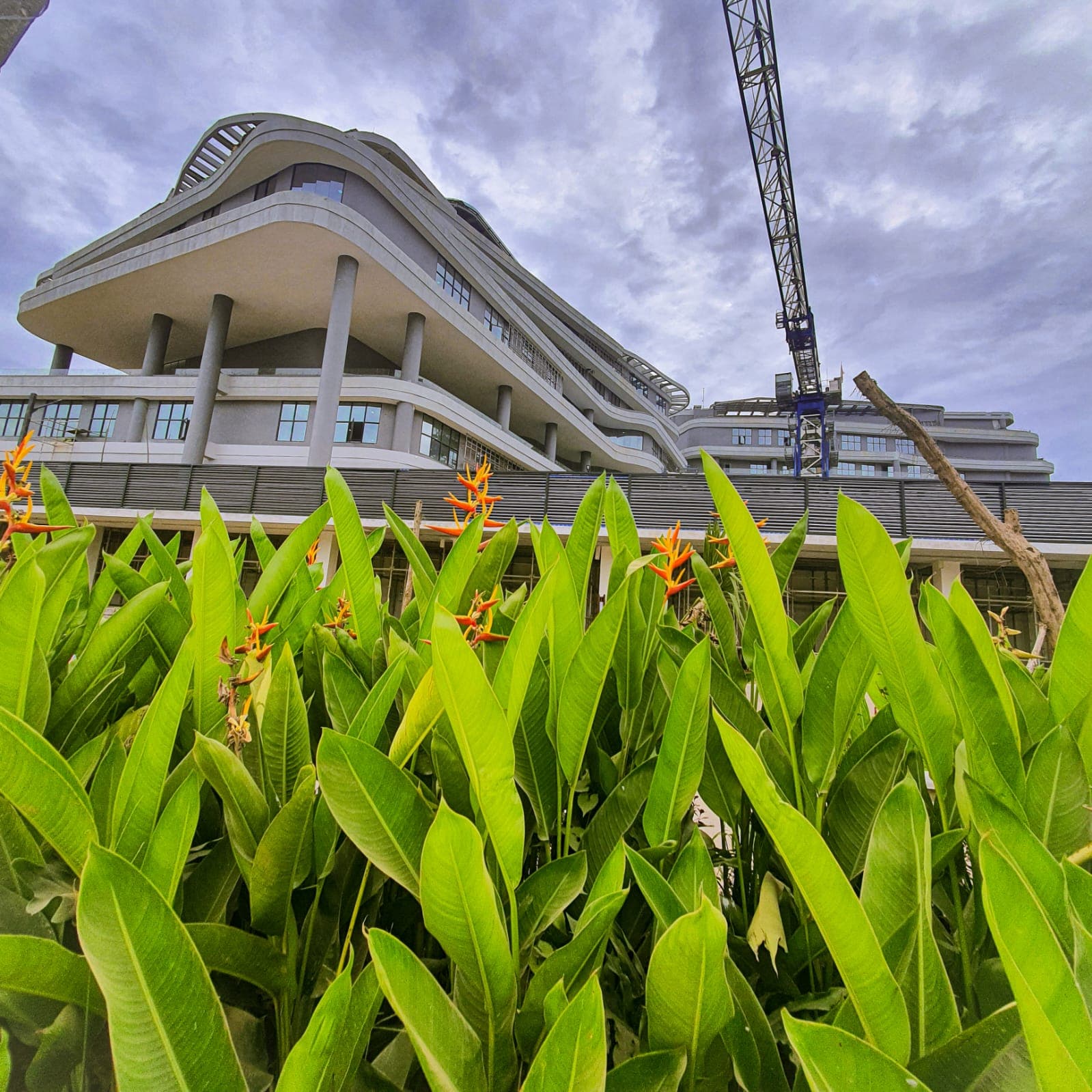 Gedung Perkantoran Modern & Ramah Lingkungan
